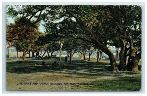 1907 Fortress Monroe VA Live Oaks and Parade Grounds Postcard