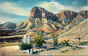 Postcard NM Signal Peak in Guadalupe Mountains