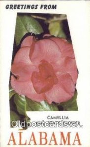 Camellia, State Flower - Misc, Alabama AL  