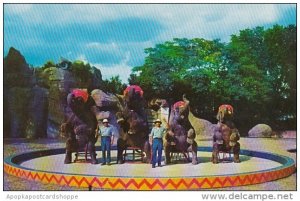Elephant Show Zoological Park Detroit Michigan