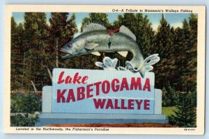 c1950's Lake Kabetogama Minnesota Postcard Tribute Minnesota Walleye Fishing