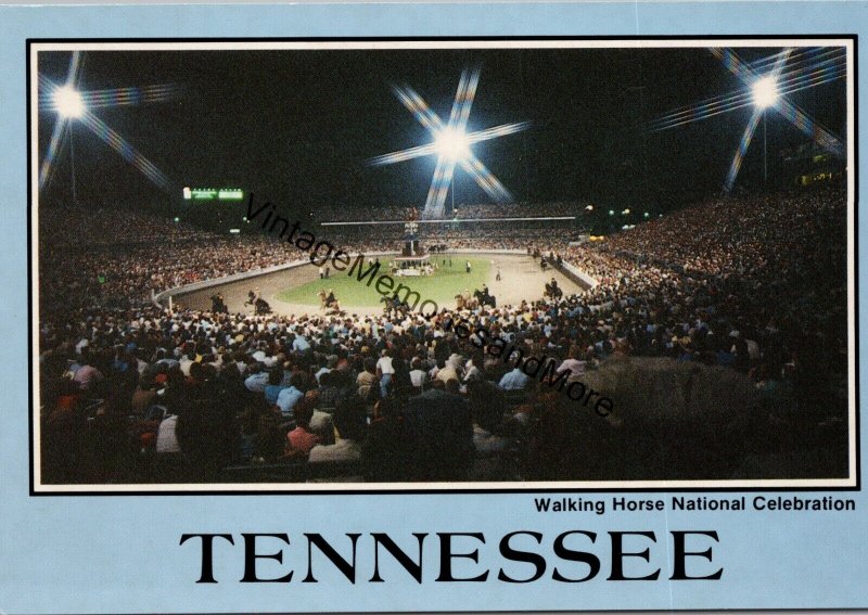 Walking Horse National Celebration Tennessee Postcard PC297