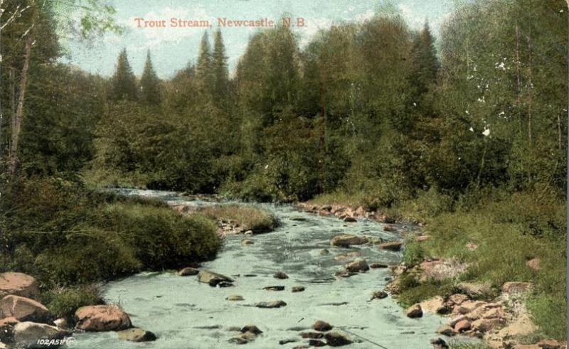 Trout Stream at Newcastle NB, New Brunswick, Canada - pm 1909 - DB