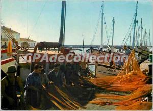 Modern Postcard Sete (Herault) the fishing port