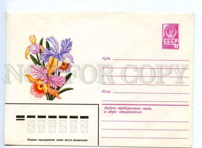 284276 USSR 1979 year Kuryerova Orchid flower postal COVER