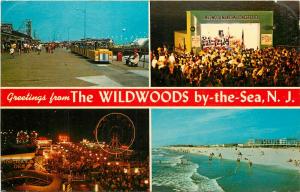 Wildwood New Jersey NJ Beach Monster Den Municipal Concert Boardwalk Postcard