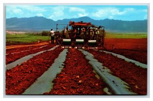 Harvesting Machinery Dole Plantation Honolulu HI UNP Chrome Postcard V2