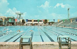 Vintage Postcard Huge Size Olympic Swimming Pool Fort Lauderdale Beach Florida