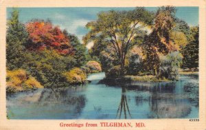 Tilghman Maryland Greetings Scenic View Linen Postcard AA87232