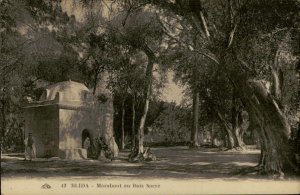 B577 Algeria Blida marabout au Bois Sacre