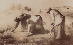 Millet The Gleaners Antique Real Photo Painting Postcard