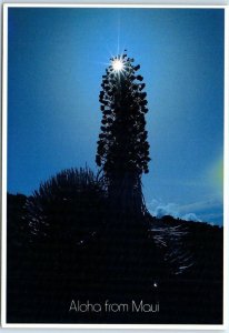 M-48629 Silversword Aloha from Maui Hawaii