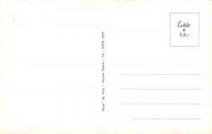 Nieuwe Pekela Netherlands Rembrantloan Street Scene Real Photo Postcard AA109486