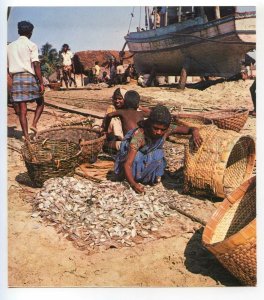 488797 1977 Speleo Diving Expedition INDIA Rameswaram fishing port Slovakia