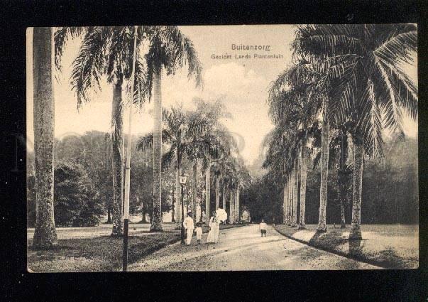 045359 HOLLAND INDIA INDONESIA Buitenzorg Vintage #1