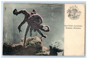 c1905 Devil Fish Aquarium Waikiki Honolulu Hawaii HI Unposted Antique Postcard 