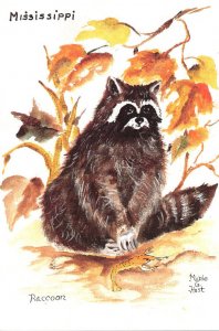 Mississippi Raccoon Art Work By Mable Hust