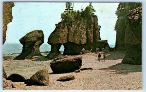 The Rocks Hopewell Cape NEW BRUNSWICK Canada 1970 Postcard