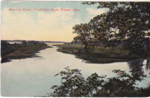 US Postcard 1912 Toledo Ohio Maumee River Walbridge Park