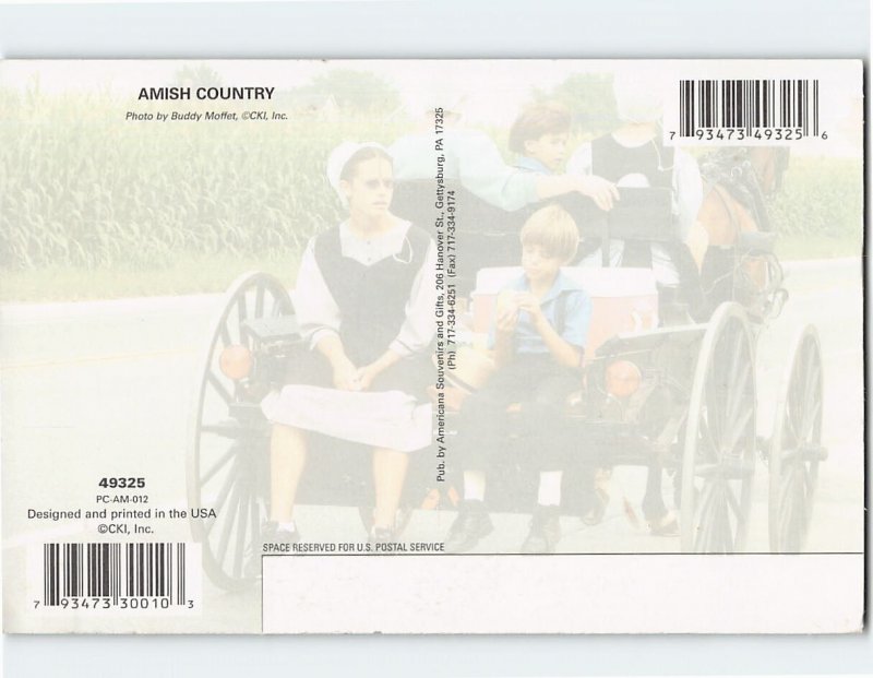 Postcard Amish People on a Horse Carriage Amish Country