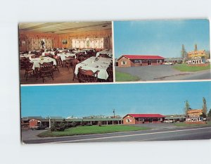 Postcard Golden Arrow Motel & Restaurant Shamokin Dam Pennsylvania USA