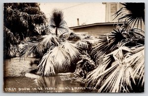 Reedley CA First Snow In 28 Years San Joaquin Calley Fresno Co RPPC Postcard X21