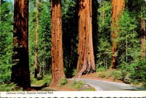 California Sequoia National Park The Gateway Group