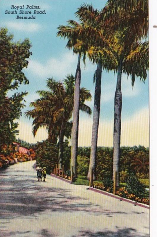 Bermuda Royal Palms South Shore Road