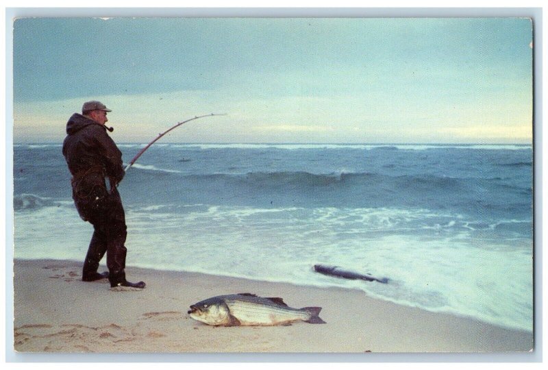 c1960 Fishing Long Island Waters Fish Rockaways Montauk Point New York Postcard