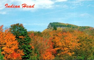 New Hampshire Licoln Indian Head