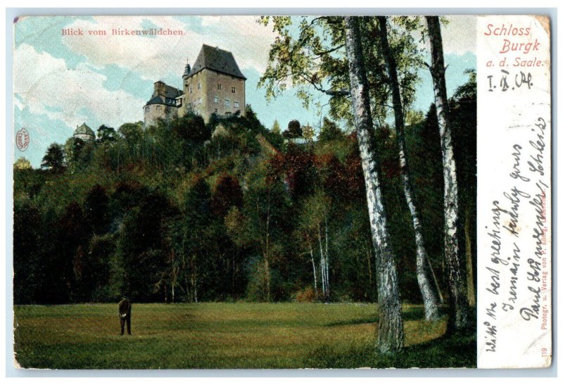 1904 View from the Birkenwaldchen Berlin Germany Posted Kearney NE Postcard