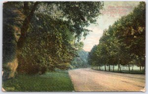 Vintage River Drive Below Girard Avenue Philadelphia Postcard Germany Print