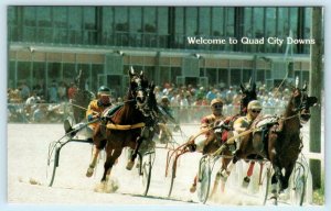 EAST MOLINE Illinois IL  Harness Racing QUAD CITY DOWNS Horses c1970s Postcard