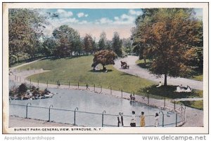 New York Syracuse Burnet Park General View