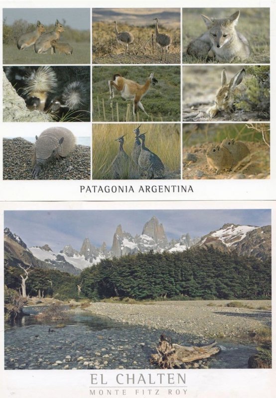 El Chalten Argentina & Animals Argentinian 2x Postcard