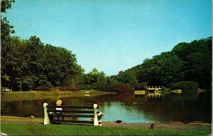 Echo Lake Park Union County NJ New Jersey Bench Little Girl Bridge VTG Postcard 