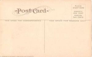 Orange County California Celery Fields Antique Postcard J51791