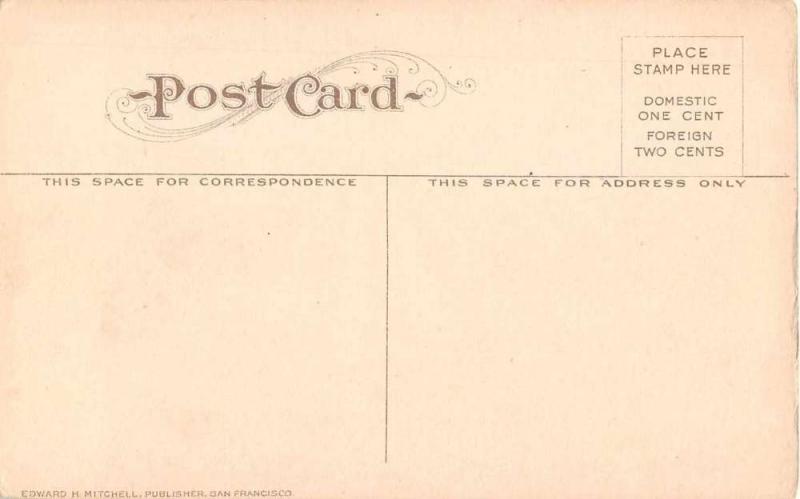 Orange County California Celery Fields Antique Postcard J51791