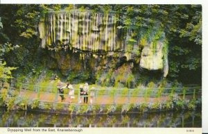 Yorkshire Postcard - Dropping Well from The East - Knaresborough - Ref 4285A