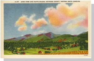 Nice Haywood County, North Carolina/NC Postcard, Jones Knob