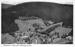 BG28685 wildemann i harz vom hohenberg geschen  germany  CPSM 14x9cm