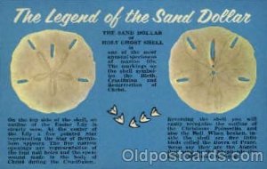 Sand Dollar Shells, Shell Border, Unused 