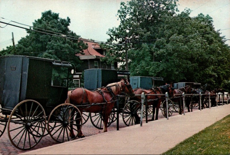 Ohio Millersburg Amish Horse and Buggies At Parking Meters