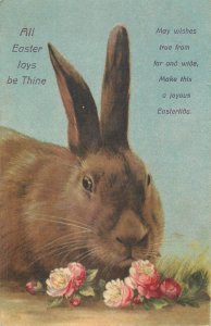 Easter rabbit greetings postcard 1928