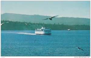 A B.C. Ferry, Sea Gulls, British Columbia Ferry Authority, Victoria, British ...