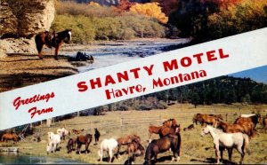 Montana Greetings From Shanty Motel Havre