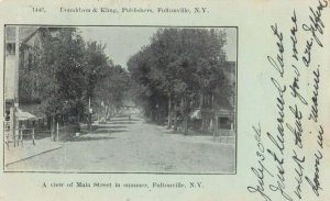 FULTONVILLE, New York, 1906; Main Street