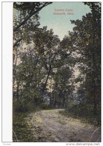 Lovers Lane, NORWALK, Ohio, 1900-1910s