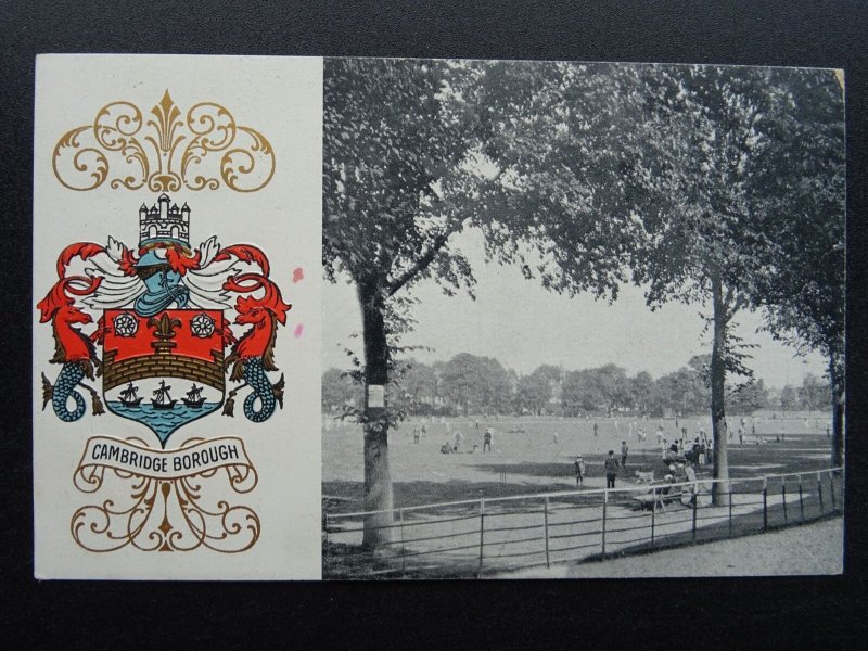 13 x Cambridge University Collection COLLEGES & HERALDIC ARMS c1905 Postcard