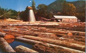 Old Sawmill - Northwest Logging Industry - Oregon or Washington